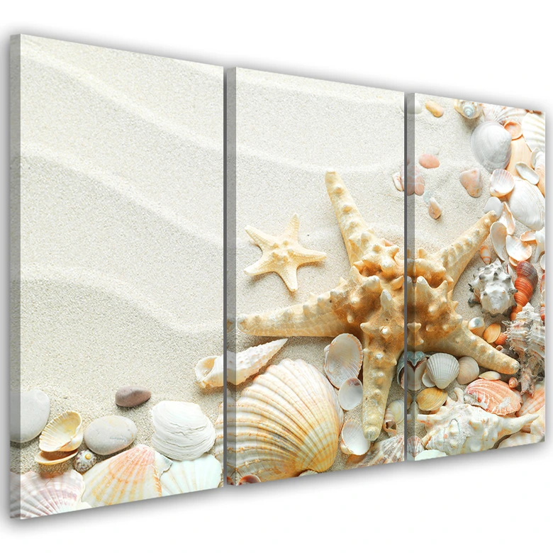 Leinwandbild 3-teilig, Seestern und Muscheln 