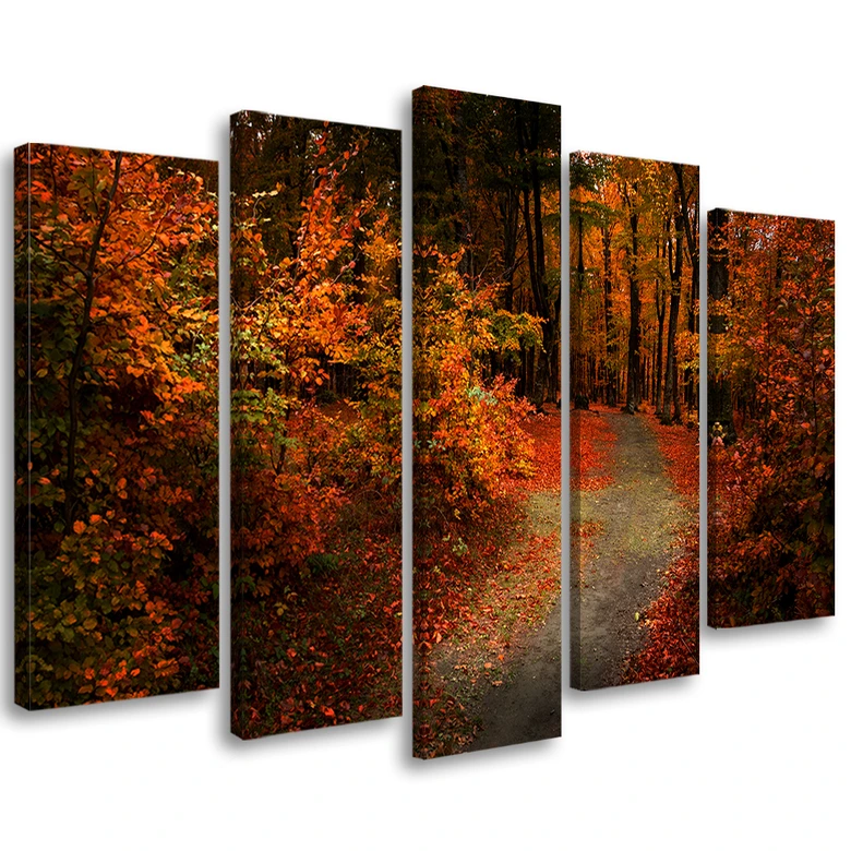 Leinwandbild 5 teilig, Wald Herbstblätter Natur 