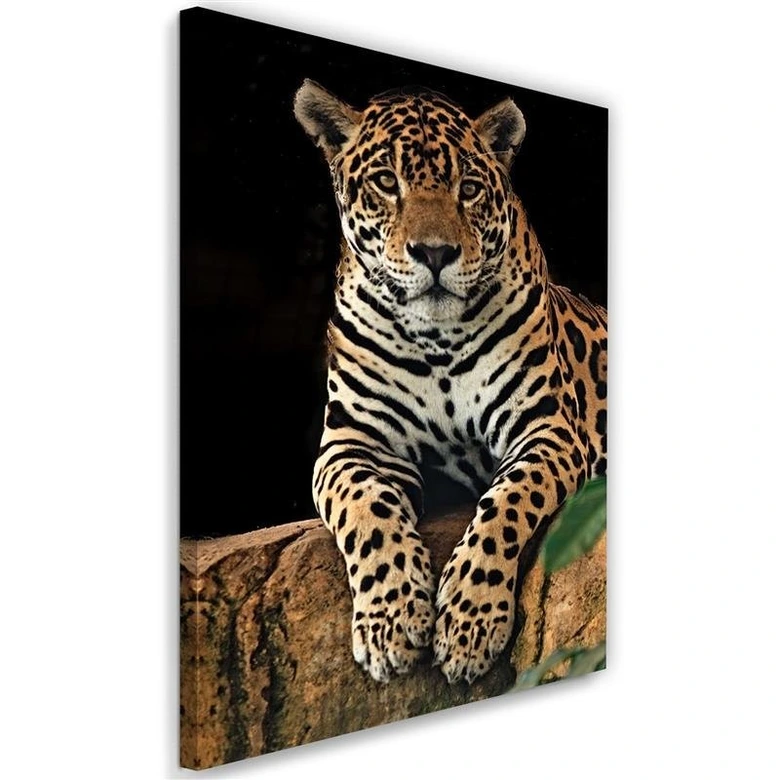 Canvasbillede, Leoparddyr 