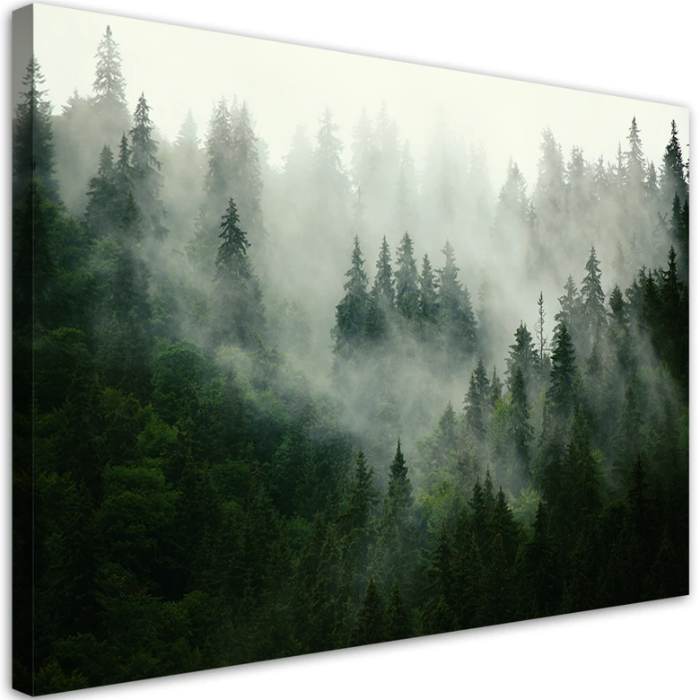 Leinwandbild, Wald im Nebel 