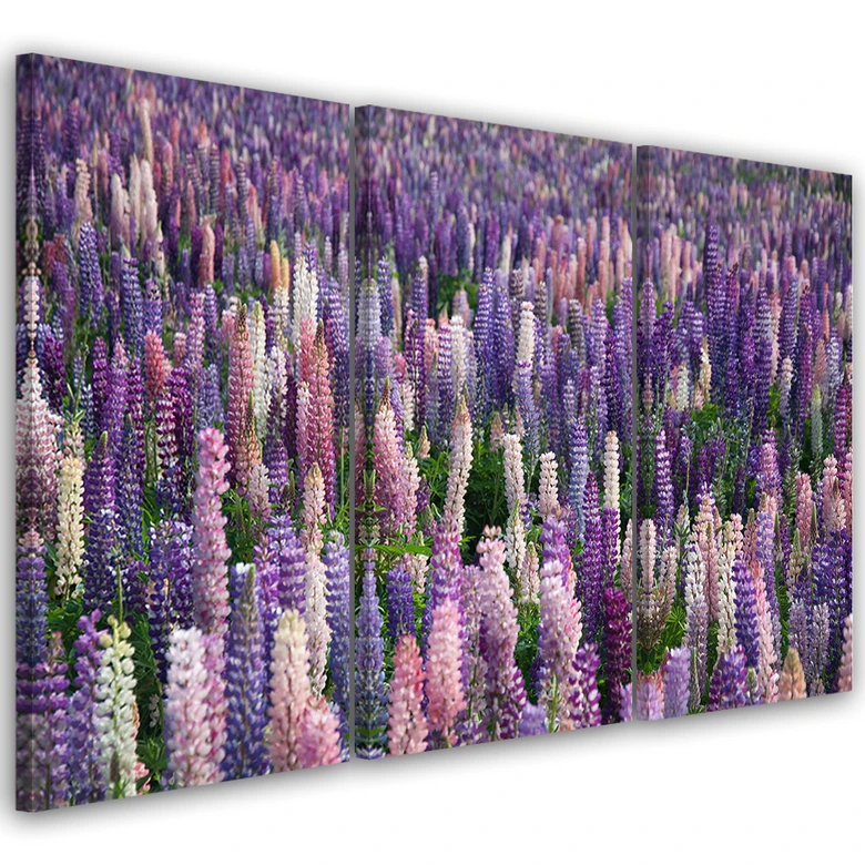 Leinwandbild 3-teilig, Lila Blumen Natur Wiese 
