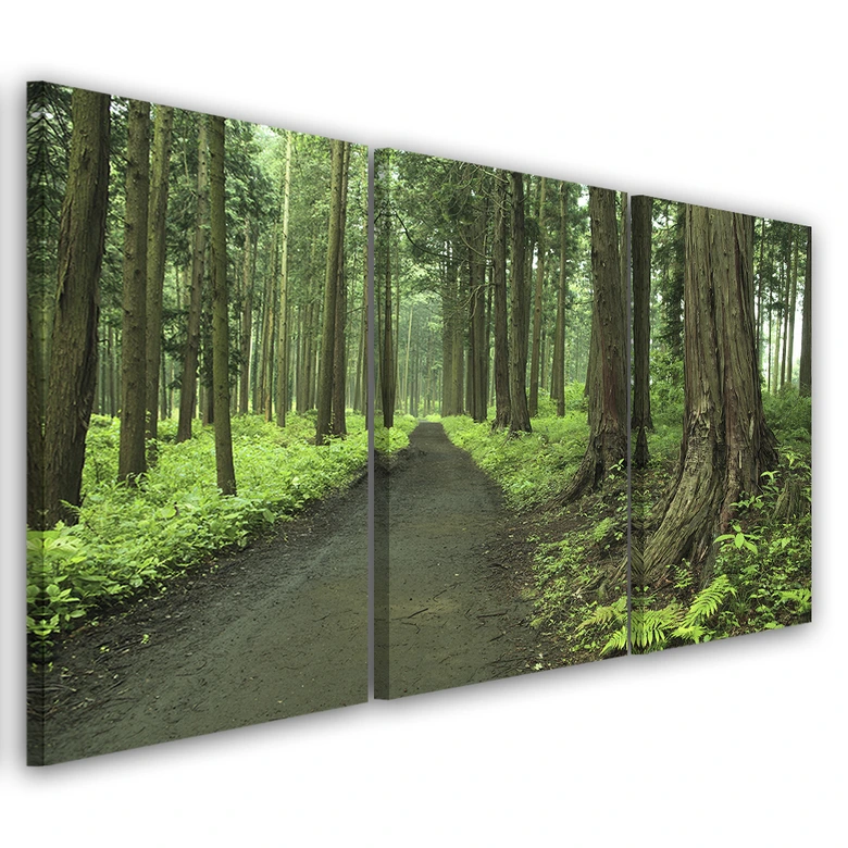 Leinwandbild 3-teilig, Wald Straße Bäume Natur 