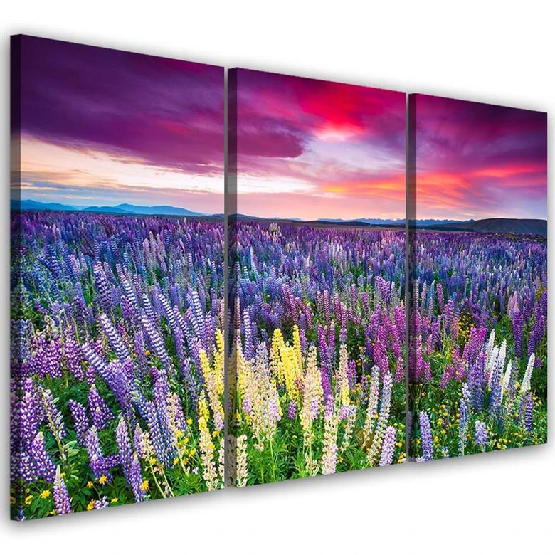 Leinwandbild 3-teilig, Lavendelfeld Natur 