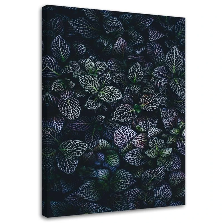 Canvasbillede, Blade af eksotiske planter 