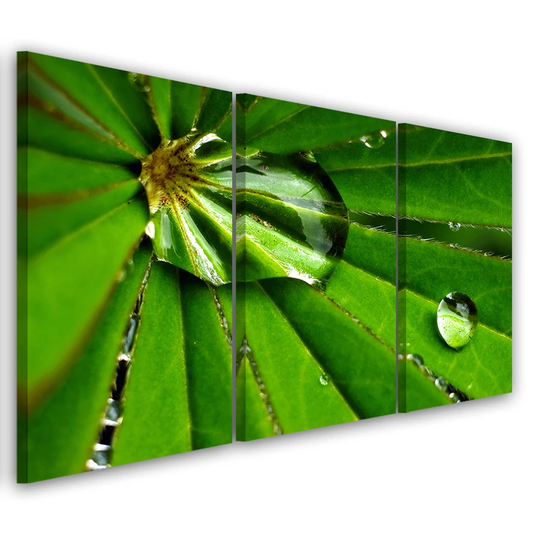Leinwandbild 3-teilig, Leafy Rosy Tropfen 