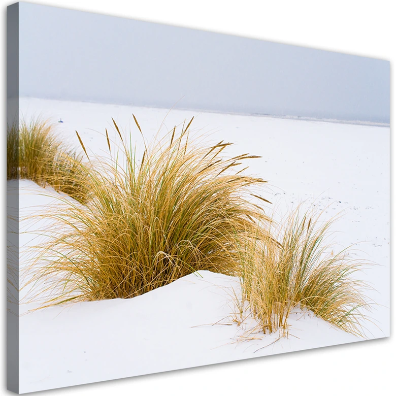Leinwandbild, Dünen auf goldenem Sand 