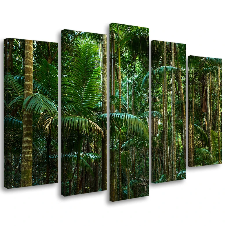 Leinwandbild 5 teilig, Regenwald Natur 
