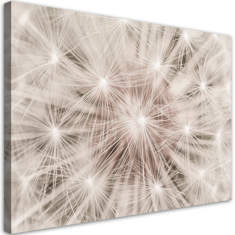 Leinwandbild, Pusteblume Natur Makro 