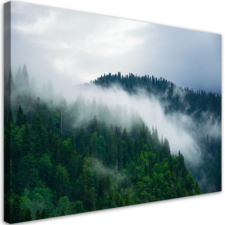 Leinwandbild, Wald im Nebel 