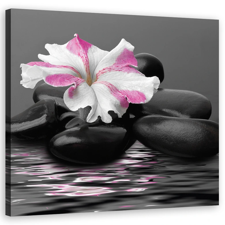 Leinwandbild, Steine ​​rosa Blume Zen 