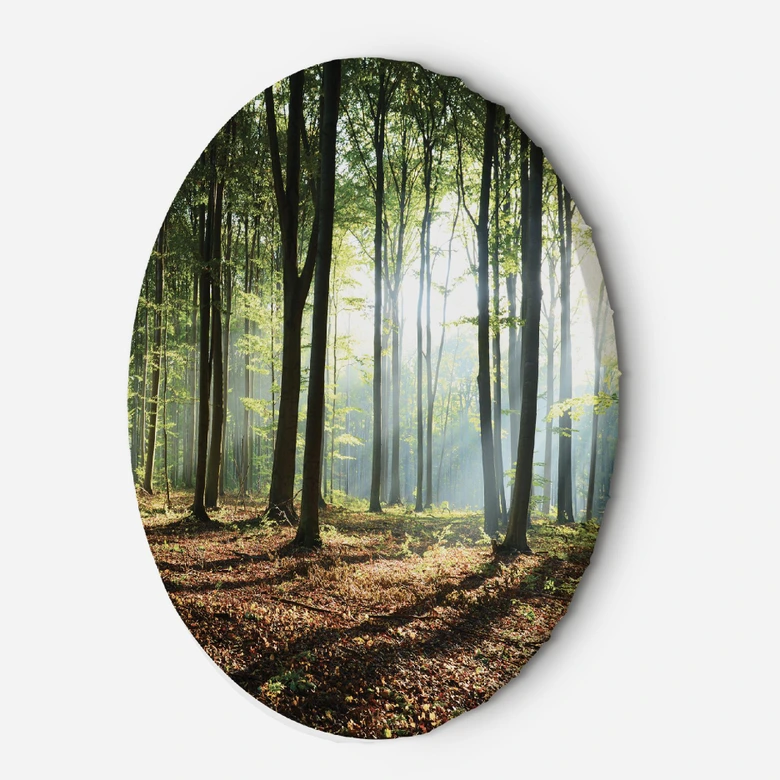 Rundes Leinwandbild Wald bei Sonnenaufgang 