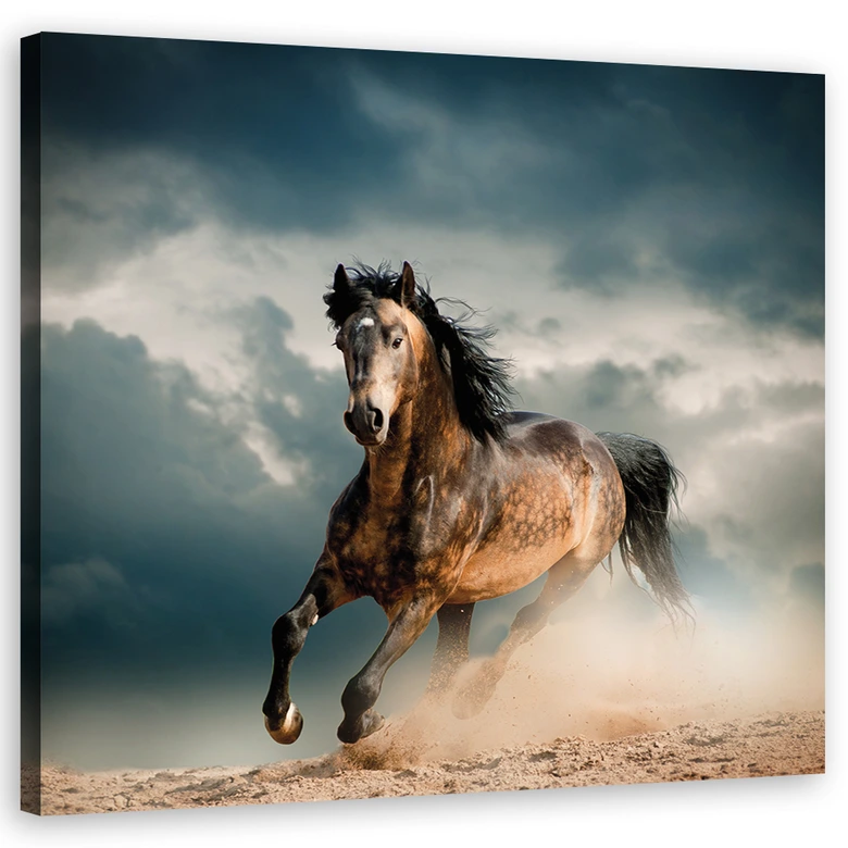 Leinwandbild, Pferd Galopp 