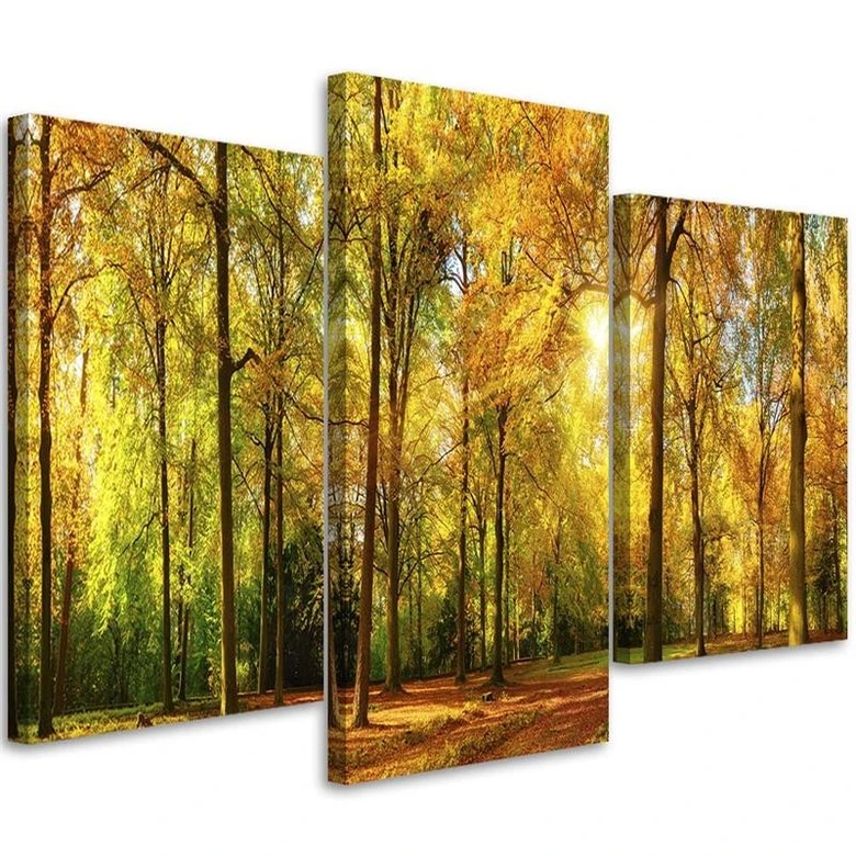 Leinwandbild 3-teilig, Wald Baum Herbst Gelb 