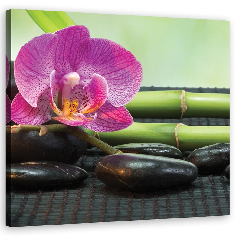 Leinwandbild, Orchidee auf schwarzen Steinen 