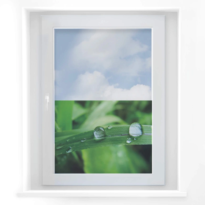 Window decor: Nature 4 