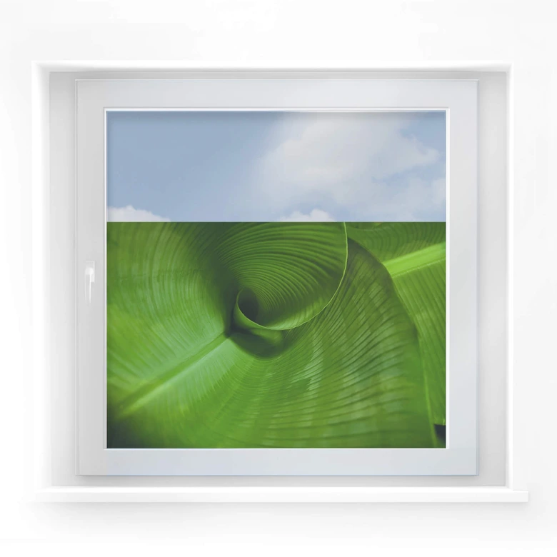 Window decor: Banana leaf 