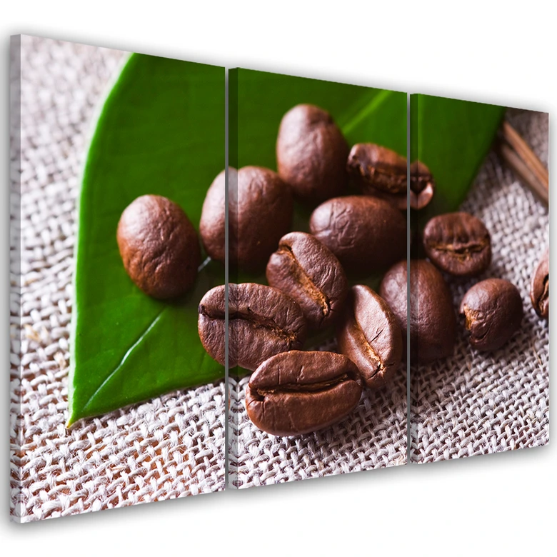 Leinwandbild 3-teilig, Kaffeebohnen-Blatt 