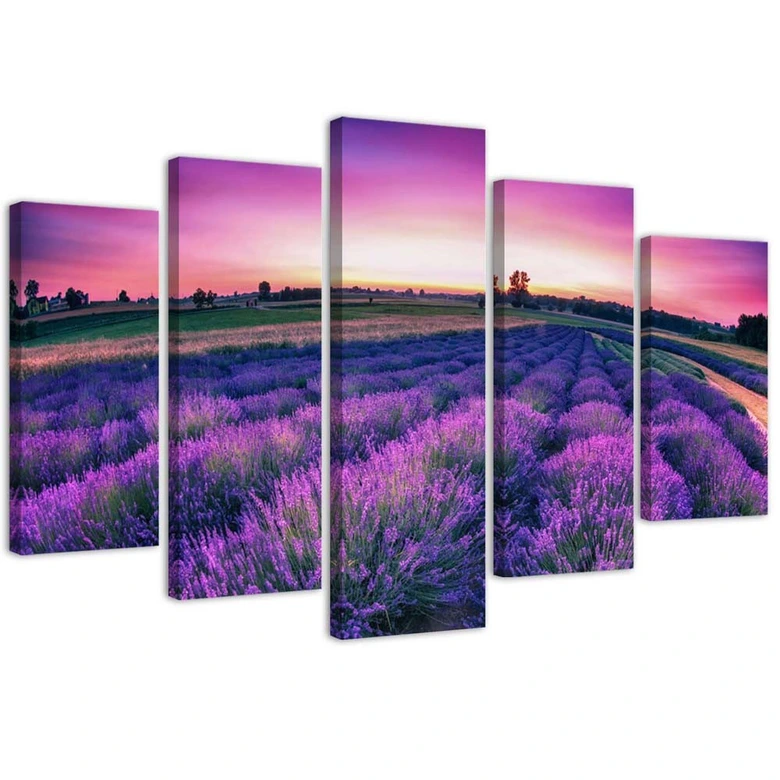 Leinwandbild 5 teilig, Lavendel Lila Feld 