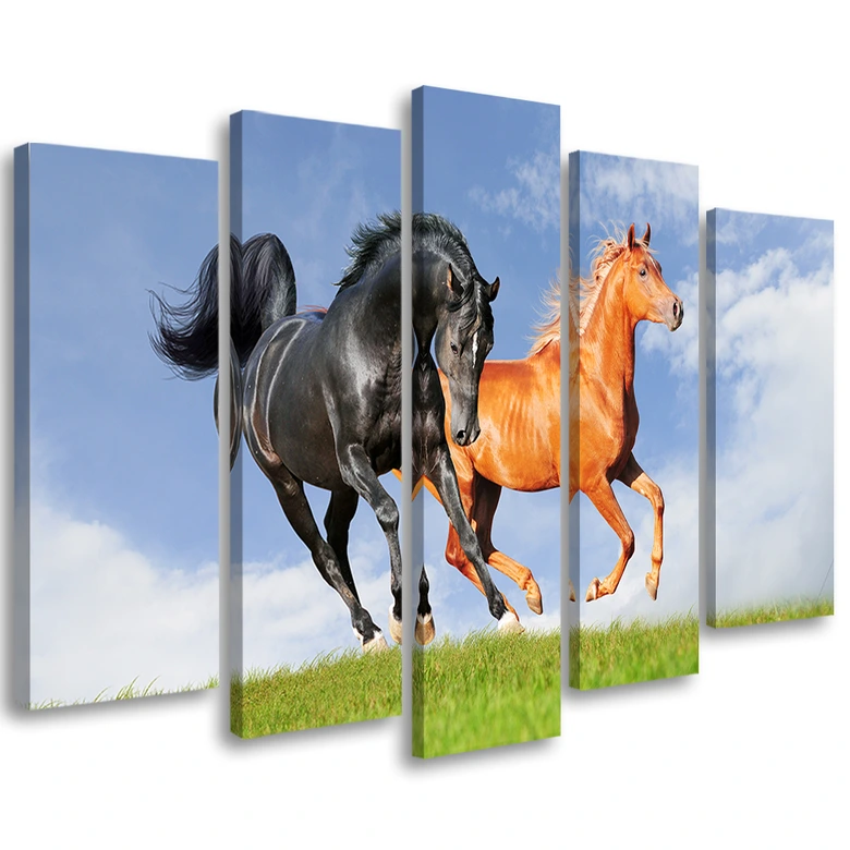 Leinwandbild 5 teilig, Pferde im Galopp 