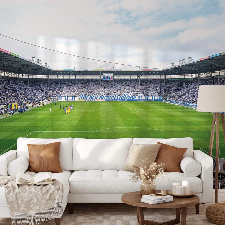 Fototapete 1. FC Magdeburg - Stadion Choreo 