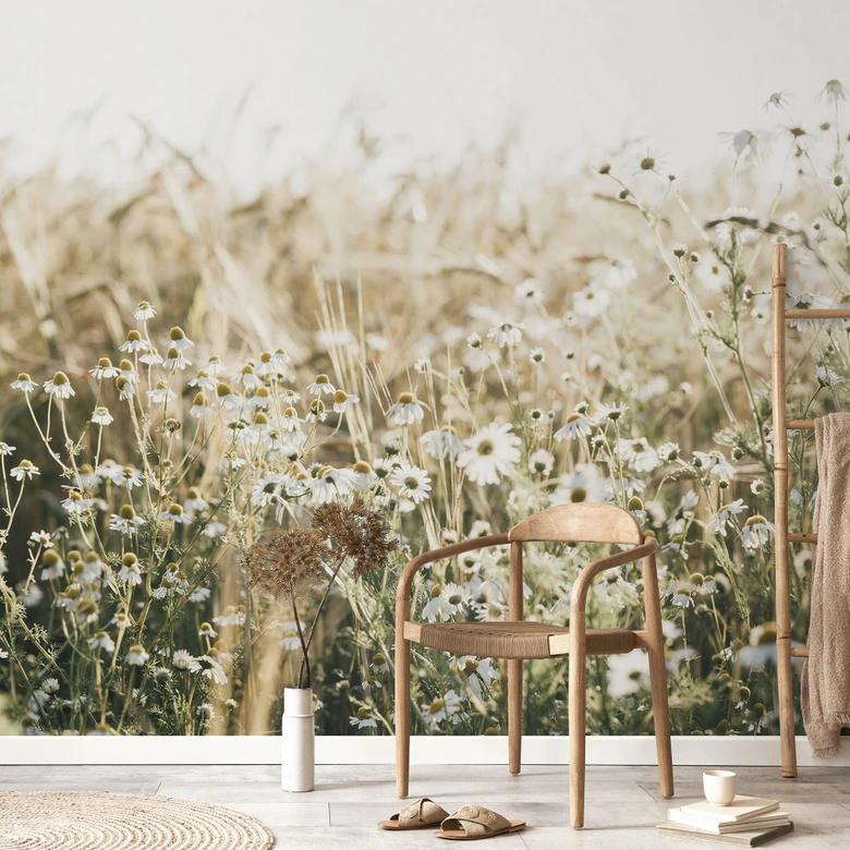 Natur Fototapete Sommerwiese mit Kamille - Annie 