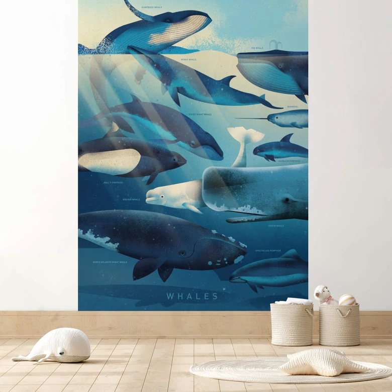 Fotomural marrón - Ballenas 