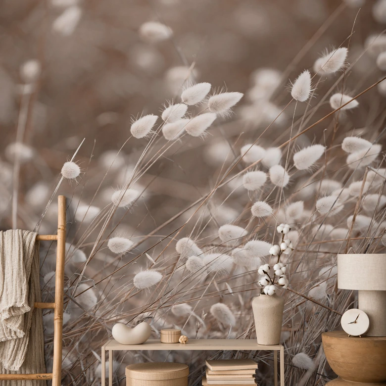 Fototapete Zarte Gräser im Herbstlicht - Collins 