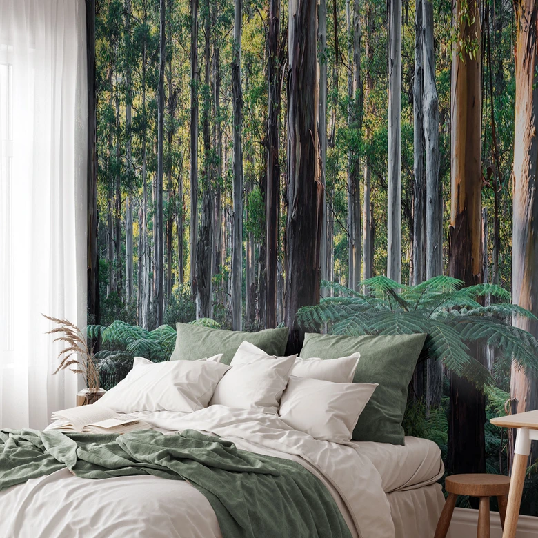 Natur Fototapete Eukalyptuswald in den Yarra Ranges - Colombo 