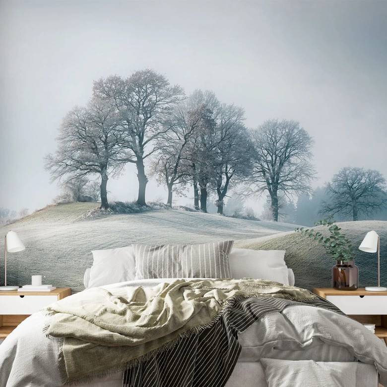 Frostigt kuperat landskap | naturligt landskap Fototapet för vardagsrum och sovrum - Eisenmann 