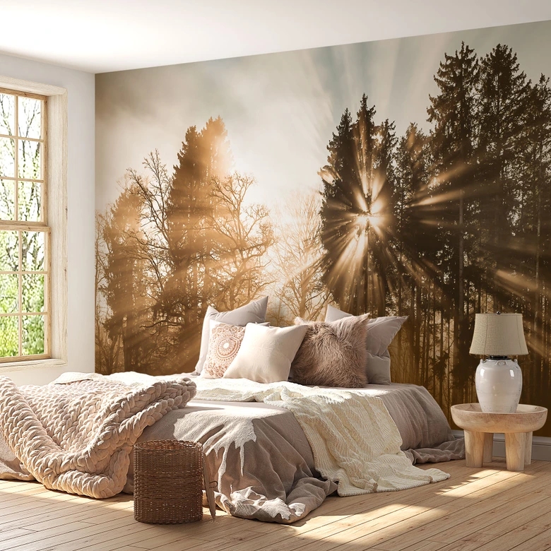 Fototapete Lichtstrahlen im Wald | Waldtapete fürs Schlafzimmer - Eisenmann 