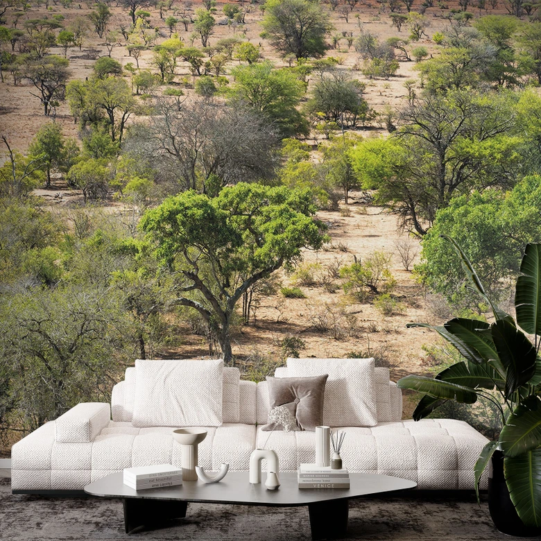 Fototapete Savannenlandschaft in Afrika - Hugonnard 