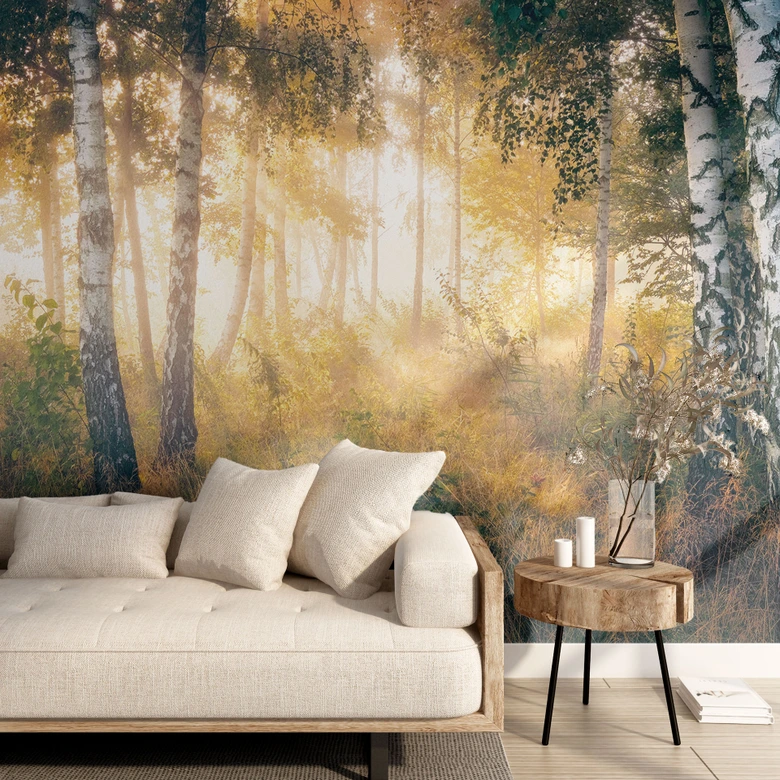 Wall Mural Sunshine in the birch forest - Forest wallpaper - Kado 