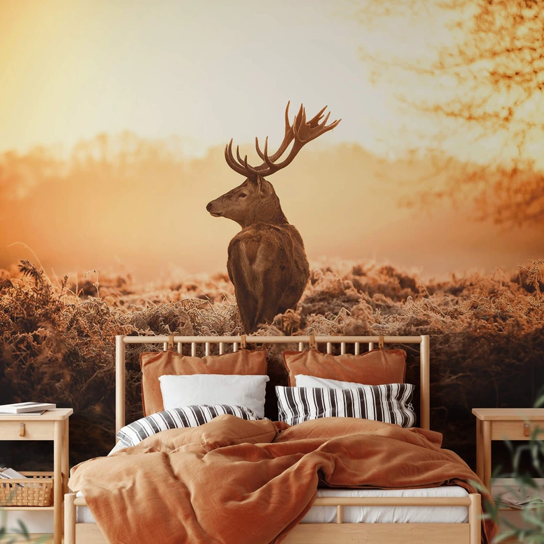 Fototapete Majestätischer Hirsch 