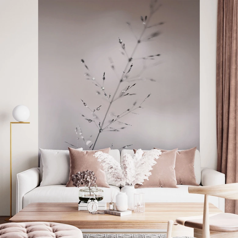 Fototapete Grashalm mit Tautropfen | Ruhige Naturtapete fürs Wohnzimmer - Sillen 