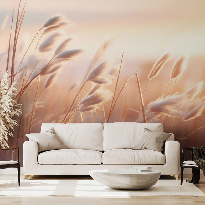 Nature Wall Mural Dune grass in the evening sun - Treechild 