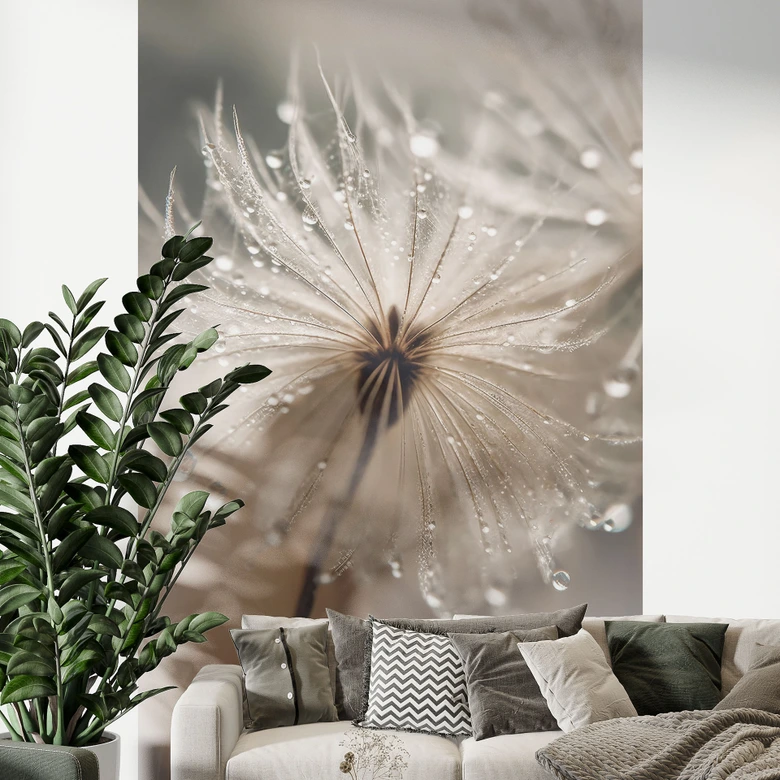 Fototapete Pusteblume im Morgentau - Blumentapete - Treechild 