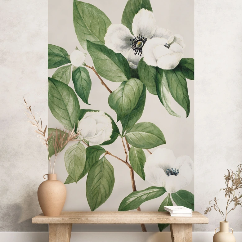 Fotomural botánico de una camelia falsa - Walcott 