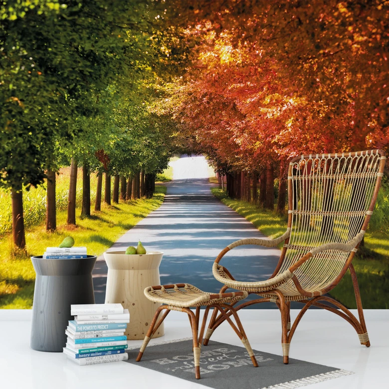 Fototapete Herbst - 336x260 cm 