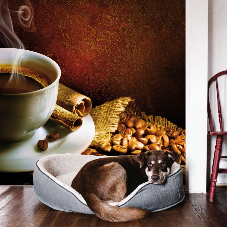 Fototapete Coffee 1 - 288x260 cm 