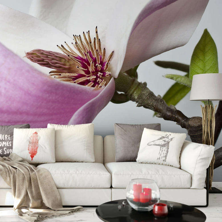 Fototapeta Magnolia - 288x260 cm 
