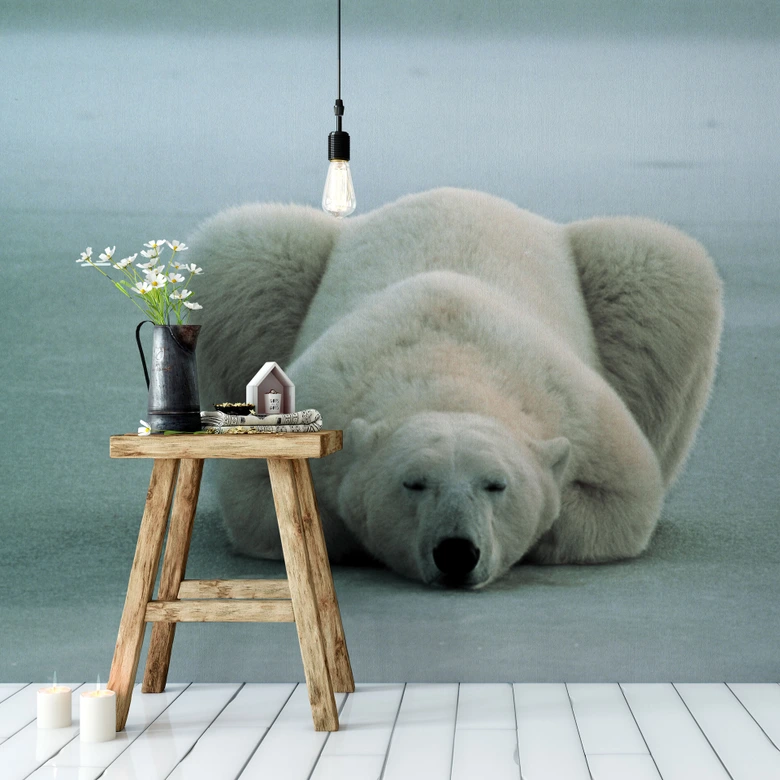 Papier peint photo NG Ours polaire endormi - 336x260 cm 