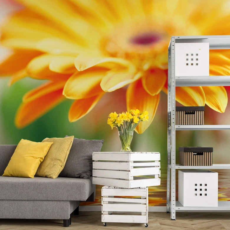 Gerbera Reflection - Wall Mural 