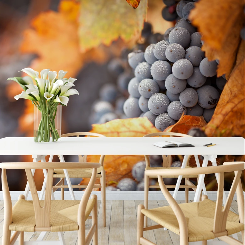 Fototapete Wein im Herbst - 336x260 cm 