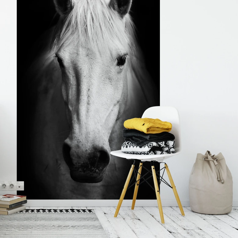 Fototapete White Horse - 144x260 cm 