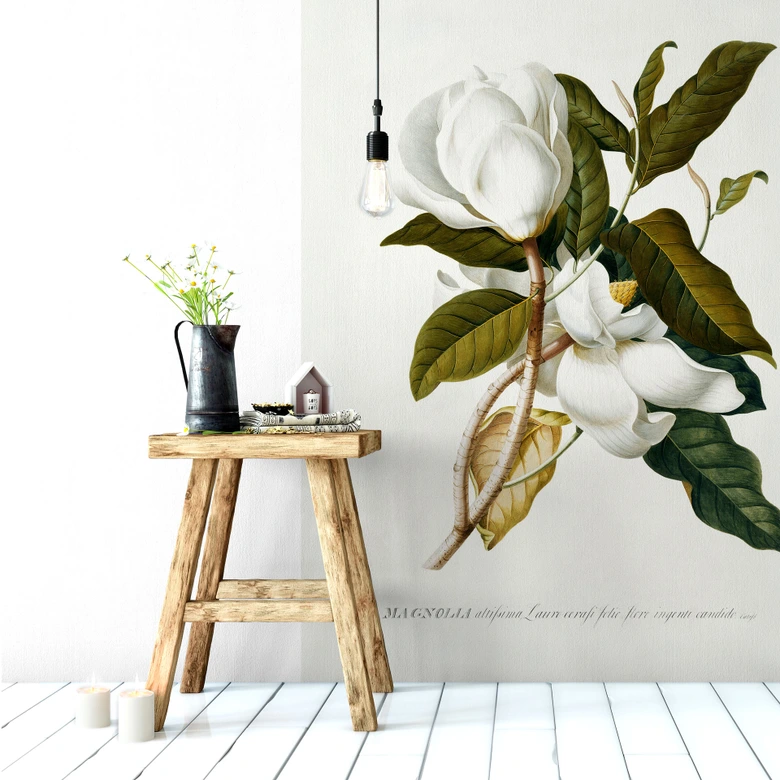 Fototapete Ehret - Magnolie 