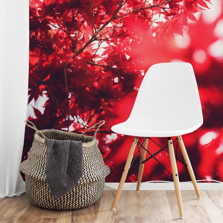 Fotobehang Esdoorn in de herfst 