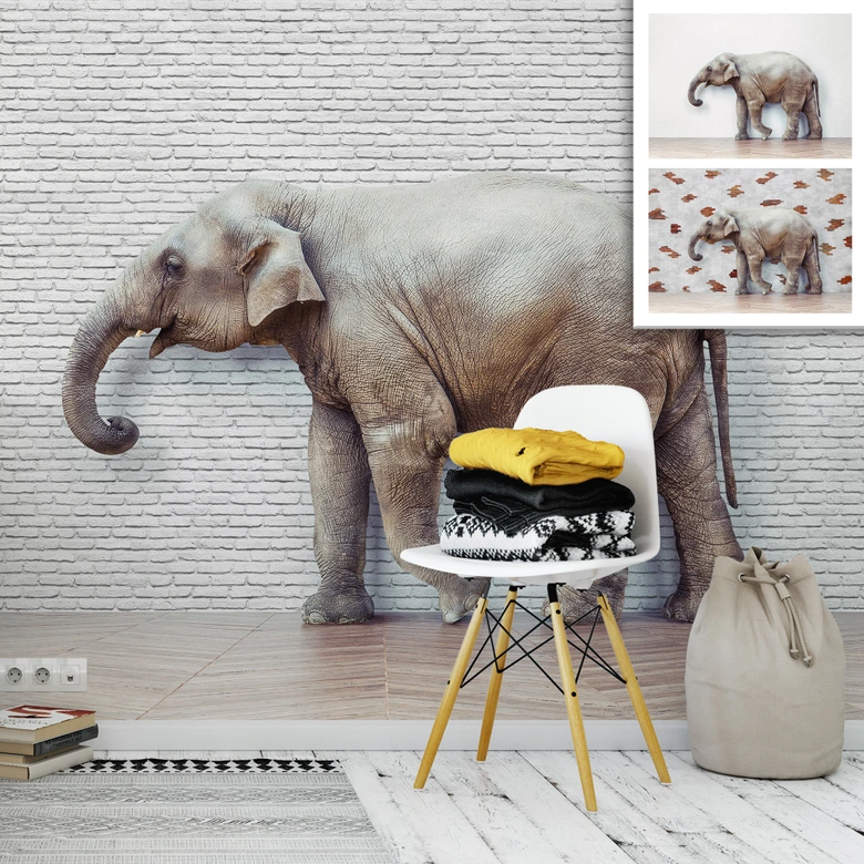Fototapete The Walking Elephant 