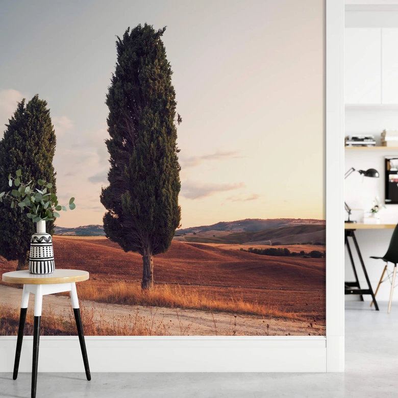 Fotobehang Colombo - Drie Cypressen 