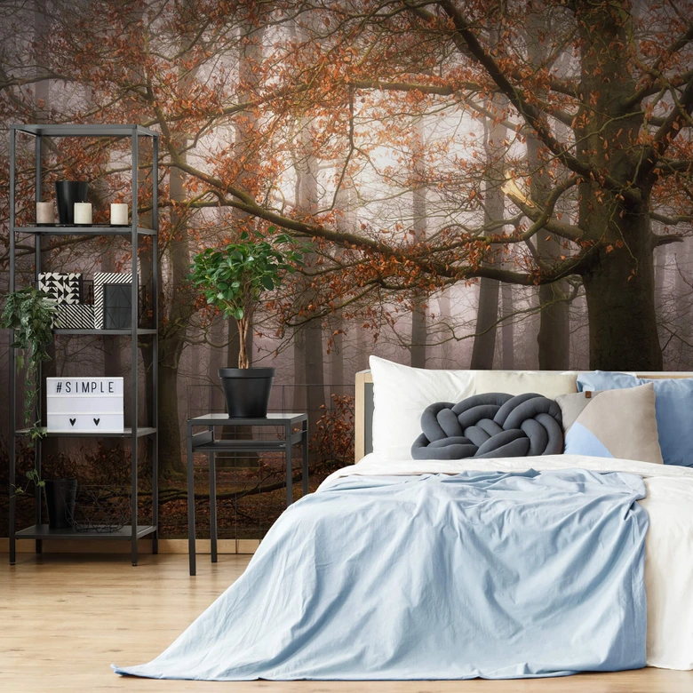 Dingemans - Fotomural "Niebla en el bosque de otoño 