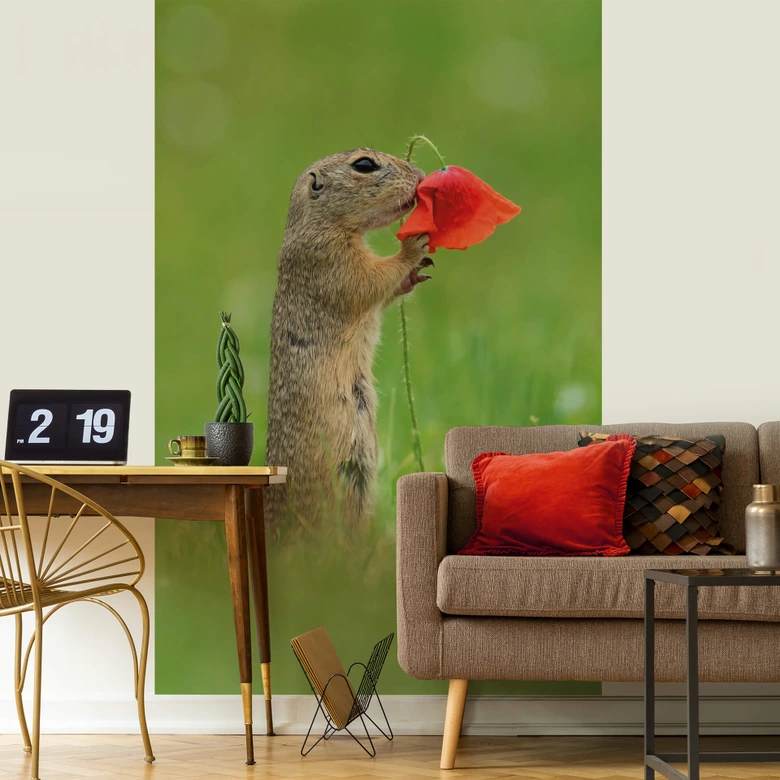 Fototapete van Duijn - Erdhörnchen mit Mohnblume 